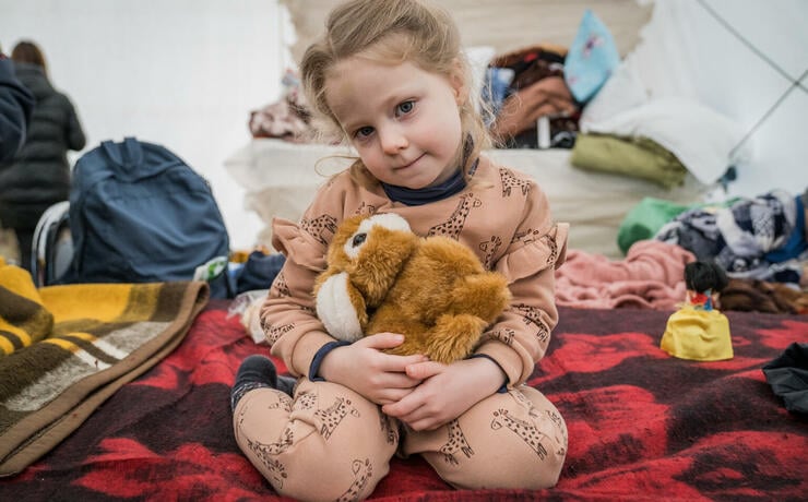 yak-pryznachyty-tymchasovoho-opikuna-v-polshchi-78-image